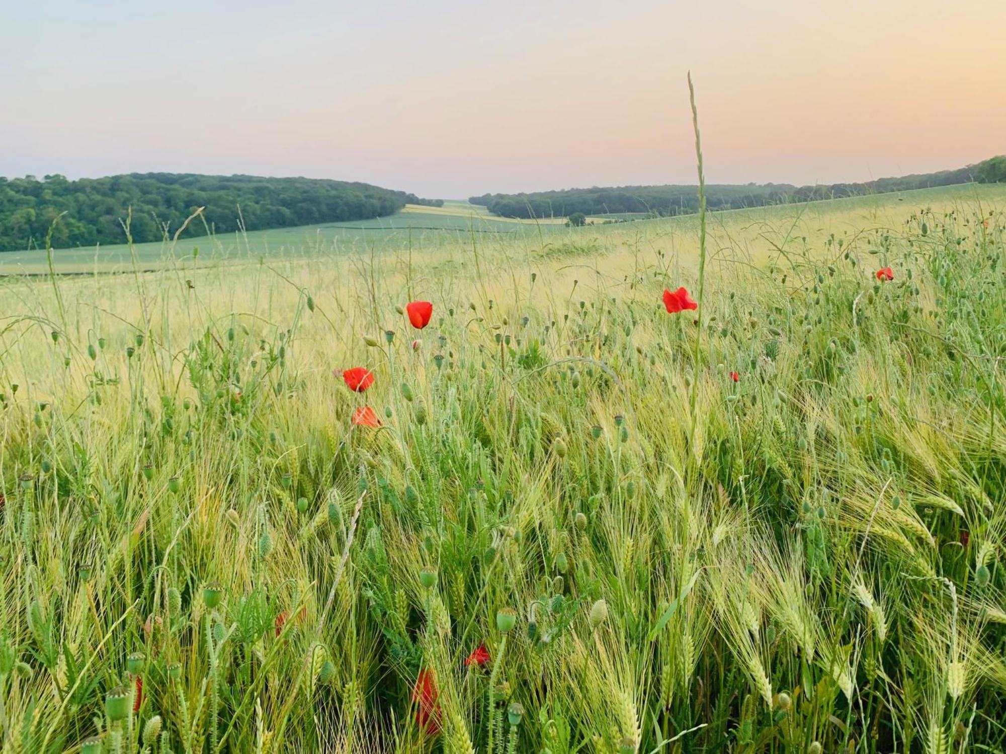Chambre A La Noye Estrees-sur-Noye ภายนอก รูปภาพ